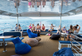 Great Barrier Reef Diving & Snorkeling Cruise from Cairns