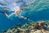 Great Barrier Reef Diving & Snorkeling Cruise from Cairns