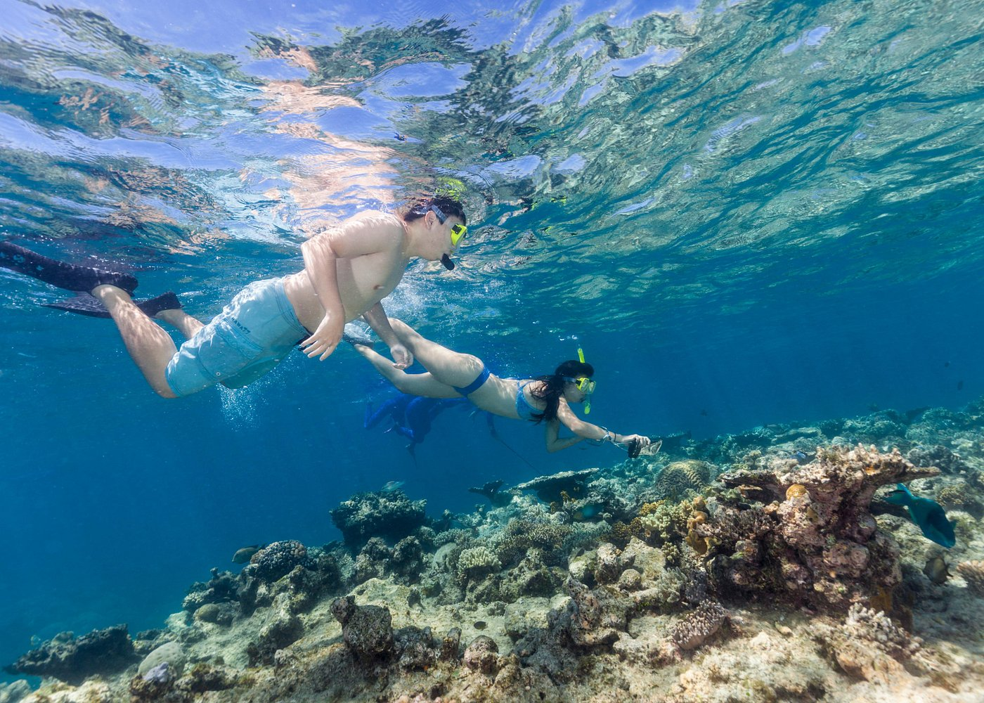 Great Barrier Reef Diving & Snorkeling Cruise from Cairns