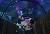 Blackpool’s BEST Attractions? These Traveller Favourites Might Surprise You!