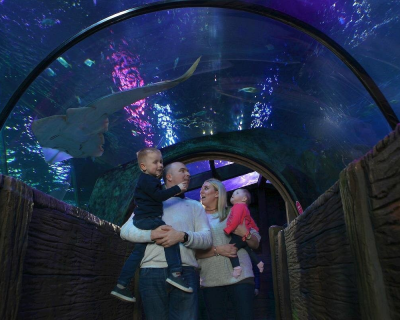 Sea-LIFE-Blackpool