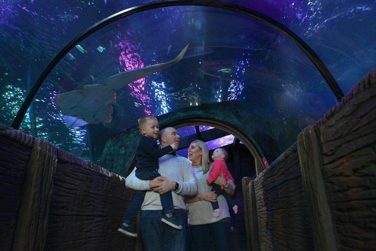 Blackpool’s BEST Attractions? These Traveller Favourites Might Surprise You!