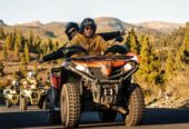 4 Fun Things to do in Tenerife