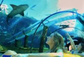 4 Fun Things to do in Tenerife