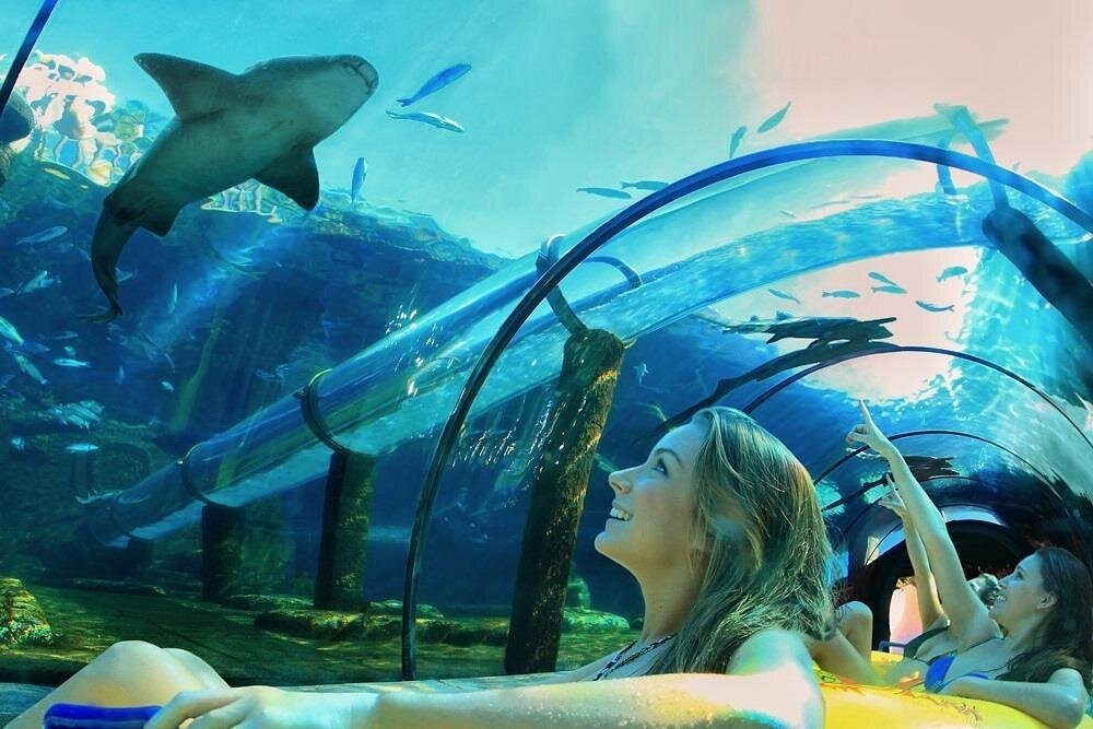 4 Fun Things to do in Tenerife