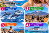 4 Fun Things to do in Tenerife